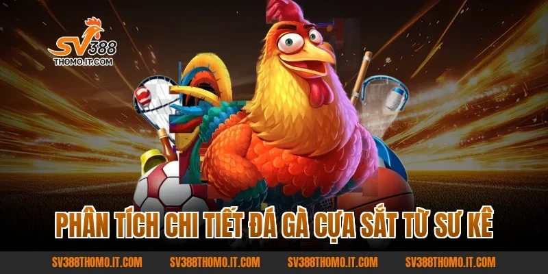 Phân Tích Chi Tiết Đá Gà Cựa Sắt Từ Sư Kê